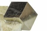 Natural Pyrite Cube In Rock - Navajun, Spain #168468-1